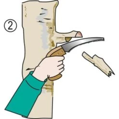 Bahco Scies Arboricoles 28 Cm Poignée Bois 4212 -Pro Outils Soldes Magasin 22787623 3