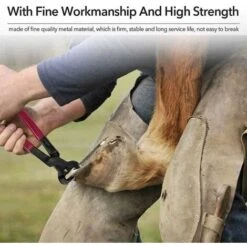 Générique Pince À Parer Professionnelle Soins Des Sabots Pour Chevaux, Taille-Pieds Polyvalent Pour Porcs Ovins, Porcs, Bovins, Avec Poignée En Caoutchouc, Durable Et Pratique -Pro Outils Soldes Magasin 59447833 4