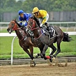 Générique Pince À Parer Professionnelle Soins Des Sabots Pour Chevaux, Taille-Pieds Polyvalent Pour Porcs Ovins, Porcs, Bovins, Avec Poignée En Caoutchouc, Durable Et Pratique -Pro Outils Soldes Magasin 59447833 5