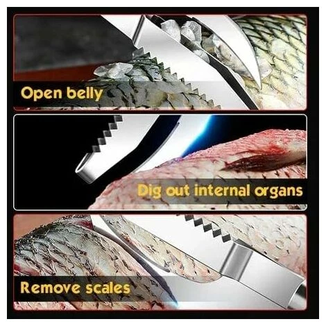 Déstockage Couteau à écailles De Poisson, Outil 3 En 1, éplucheurs En Acier Inoxydable, Outil De Nettoyage Pour Détartrant De Poisson Pour La Maison, Le Restaurant, La Cuisine 6 Déstockage Couteau à écailles De Poisson, Outil 3 En 1, éplucheurs En Acier Inoxydable, Outil De Nettoyage Pour Détartrant De Poisson Pour La Maison, Le Restaurant, La Cuisine - Image 4