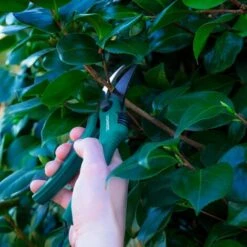 Sécateur à Coupe Franche – Revêtement Antiadhésif - Pour Fleurs Et Jeunes Pousses Jusqu'à Ø15mm -Pro Outils Soldes Magasin 63724876 5