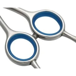 Ciseaux De Toilettage Pour Chiens Et Chats De Compagnie, Ciseaux à Effiler En Acier Inoxydable, Outil De Toilettage Pour Animaux Domestiques (bleu) -Pro Outils Soldes Magasin 77505762 3