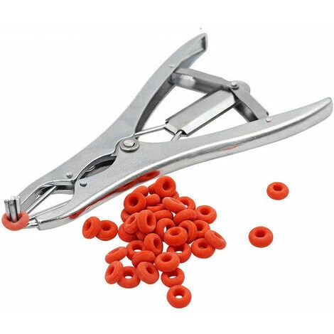 Pince à Castration élastique En Acier Inoxydable Pour Bétail, Porc, Mouton, Ceinture 100 Anneaux En Caoutchouc 21,5 Cm Argent 3 Pince à Castration élastique En Acier Inoxydable Pour Bétail, Porc, Mouton, Ceinture 100 Anneaux En Caoutchouc 21,5 Cm Argent