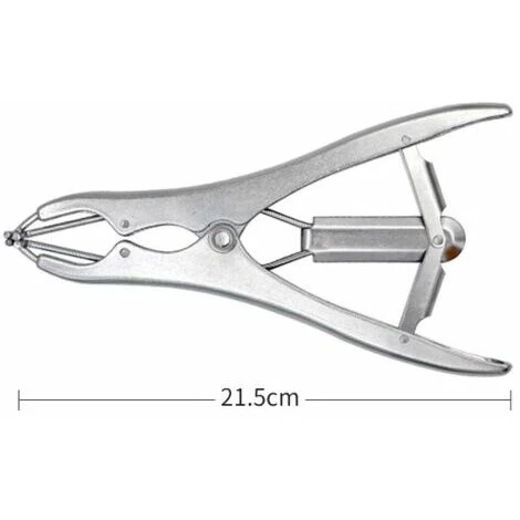 Pince à Castration élastique En Acier Inoxydable Pour Bétail, Porc, Mouton, Ceinture 100 Anneaux En Caoutchouc 21,5 Cm Argent 4 Pince à Castration élastique En Acier Inoxydable Pour Bétail, Porc, Mouton, Ceinture 100 Anneaux En Caoutchouc 21,5 Cm Argent - Image 2
