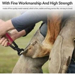 Générique Pince À Parer Professionnelle Soins Des Sabots Pour Chevaux, Taille-Pieds Polyvalent Pour Porcs Ovins, Porcs, Bovins, Avec Poignée En Caoutchouc, Durable Et Pratique -Pro Outils Soldes Magasin 83753364 4