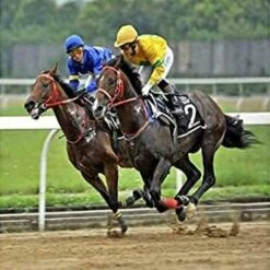 Générique Pince À Parer Professionnelle Soins Des Sabots Pour Chevaux, Taille-Pieds Polyvalent Pour Porcs Ovins, Porcs, Bovins, Avec Poignée En Caoutchouc, Durable Et Pratique -Pro Outils Soldes Magasin 83753364 5