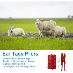Pinces D'étiquettes D'oreille Pour Animaux De Bétail Pour L'installation D'étiquettes D'oreille De Bovins, Moutons, Porcs Avec 100 étiquettes 2 Pièces Clé à Broches (bleu) -Pro Outils Soldes Magasin 85355257 3