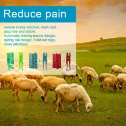 Pinces D'étiquettes D'oreille Pour Animaux De Bétail Pour L'installation D'étiquettes D'oreille De Bovins, Moutons, Porcs Avec 100 étiquettes 2 Pièces Clé à Broches (bleu) -Pro Outils Soldes Magasin 85355257 4