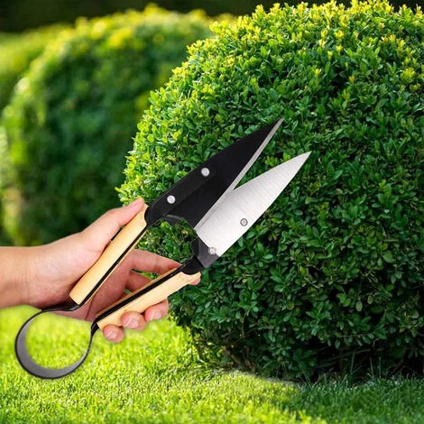 Ciseaux De Jardin Cisaille Topiaire Tradition - 33 Cm - Acier Et Inox Et Poignées En Bois 4 Ciseaux De Jardin Cisaille Topiaire Tradition - 33 Cm - Acier Et Inox Et Poignées En Bois - Image 2