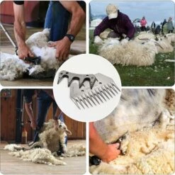 13T Lame De Cisaillement Droite Et Peigne De Rechange Pour Tondeuse à Chèvre électrique En Laine - Ciseaux à Laine - Ciseaux à Poils D'animaux (13 Dents Droites) - MODOU -Pro Outils Soldes Magasin 95442685 4