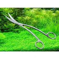 Ciseaux　Ciseaux à Plantes, Professionnel Ciseaux Aquarium Pour Plante En Acier Inoxydable -Pro Outils Soldes Magasin 96341377 5
