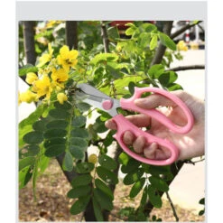 Sécateur/greffe De Jardin 2 Pièces En Acier De Haute Qualité Idéal Pour Le Jardinage Et Le Stockage Des Plantes - Rose -Pro Outils Soldes Magasin 98873245 4